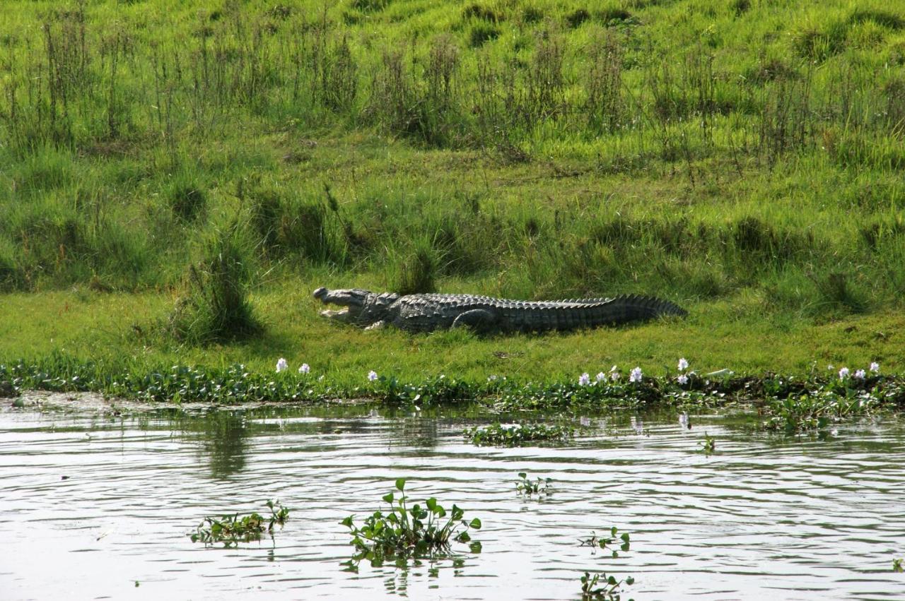 Hotel Chitwan Park Village Саураха Екстер'єр фото